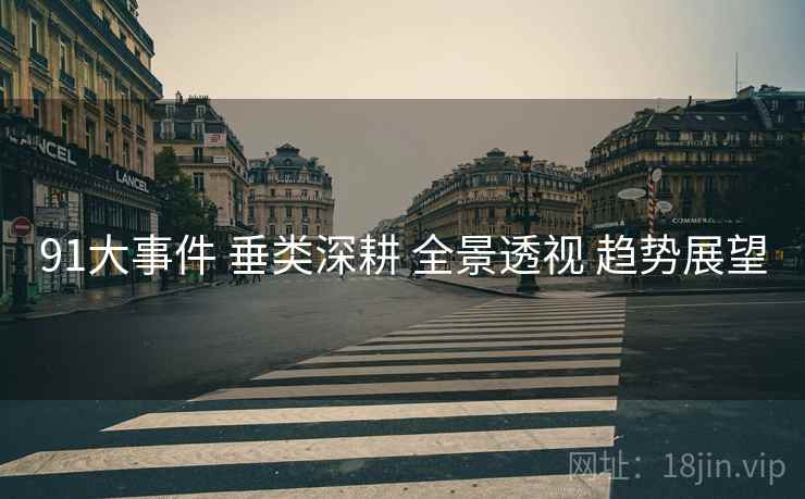 91大事件 垂类深耕 全景透视 趋势展望 91大事件 垂类深耕 全景透视 趋势展望