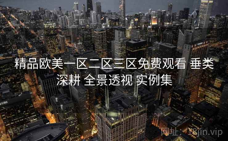 精品欧美一区二区三区免费观看 垂类深耕 全景透视 实例集