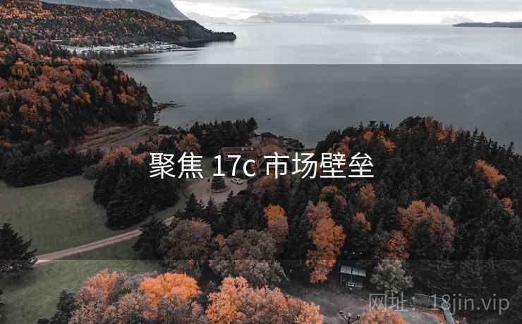 聚焦 17c 市场壁垒