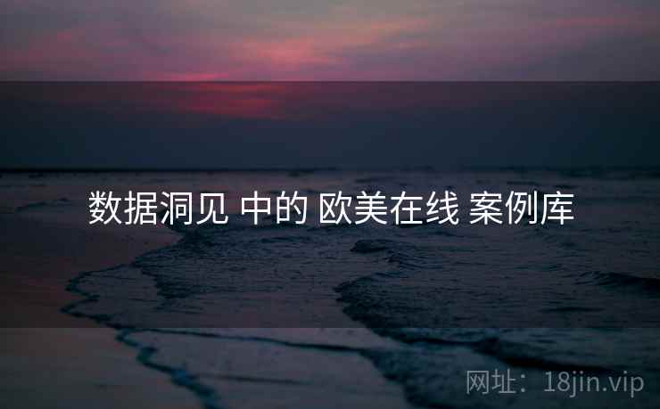 数据洞见 中的 欧美在线 案例库