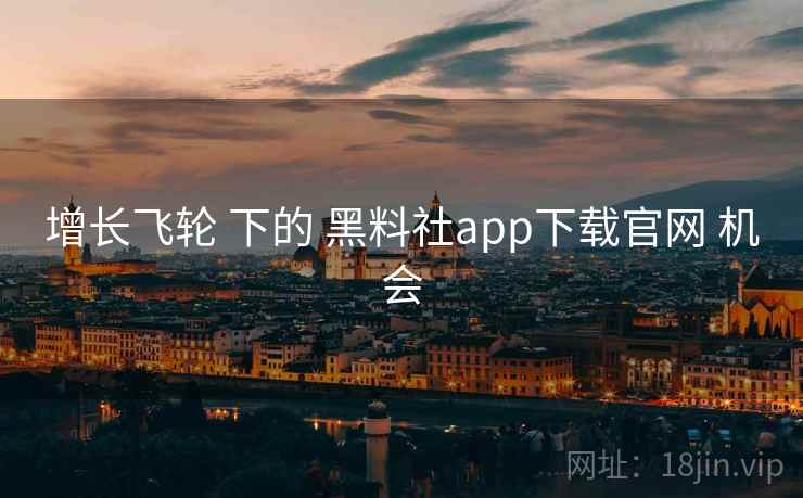 增长飞轮 下的 黑料社app下载官网 机会