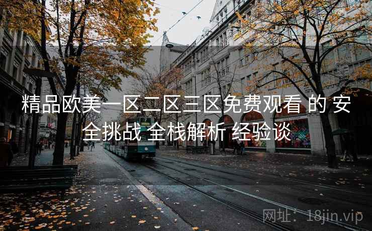 精品欧美一区二区三区免费观看 的 安全挑战 全栈解析 经验谈