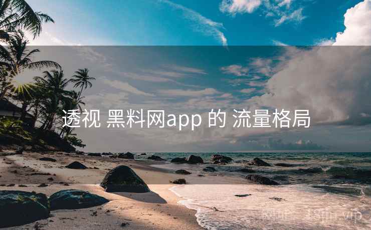 透视 黑料网app 的 流量格局 透视 黑料网app 的 流量格局